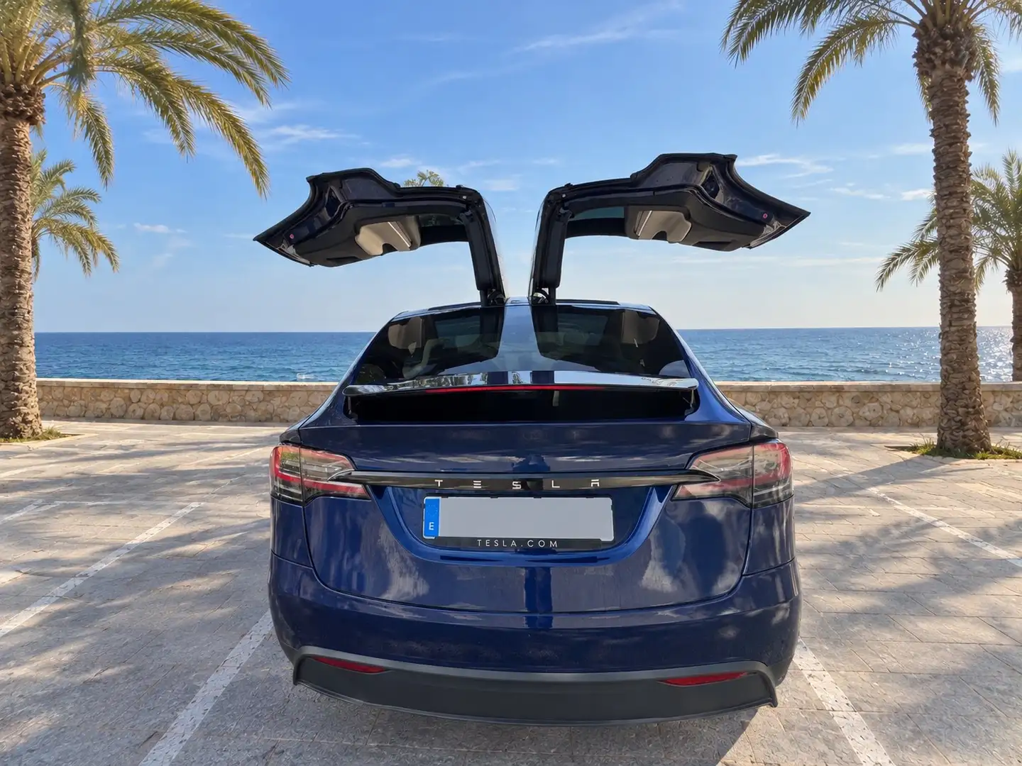 Tesla Model X Long Range AWD - 2