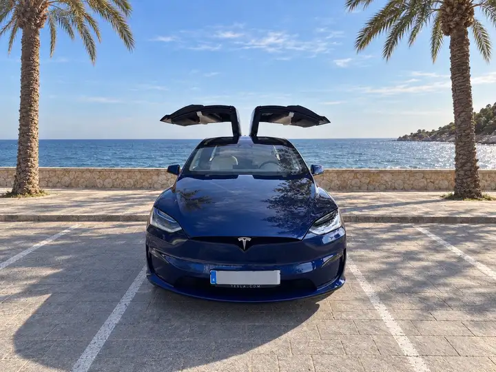 Tesla Model X Gran Autonomía 4WD (2021) 2023