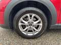 Mazda CX-3 G121 Challenge Rot - thumbnail 7