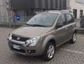 Fiat Panda Panda 1.3 mjt 16v Cross esp 4x4 Bronce - thumbnail 2