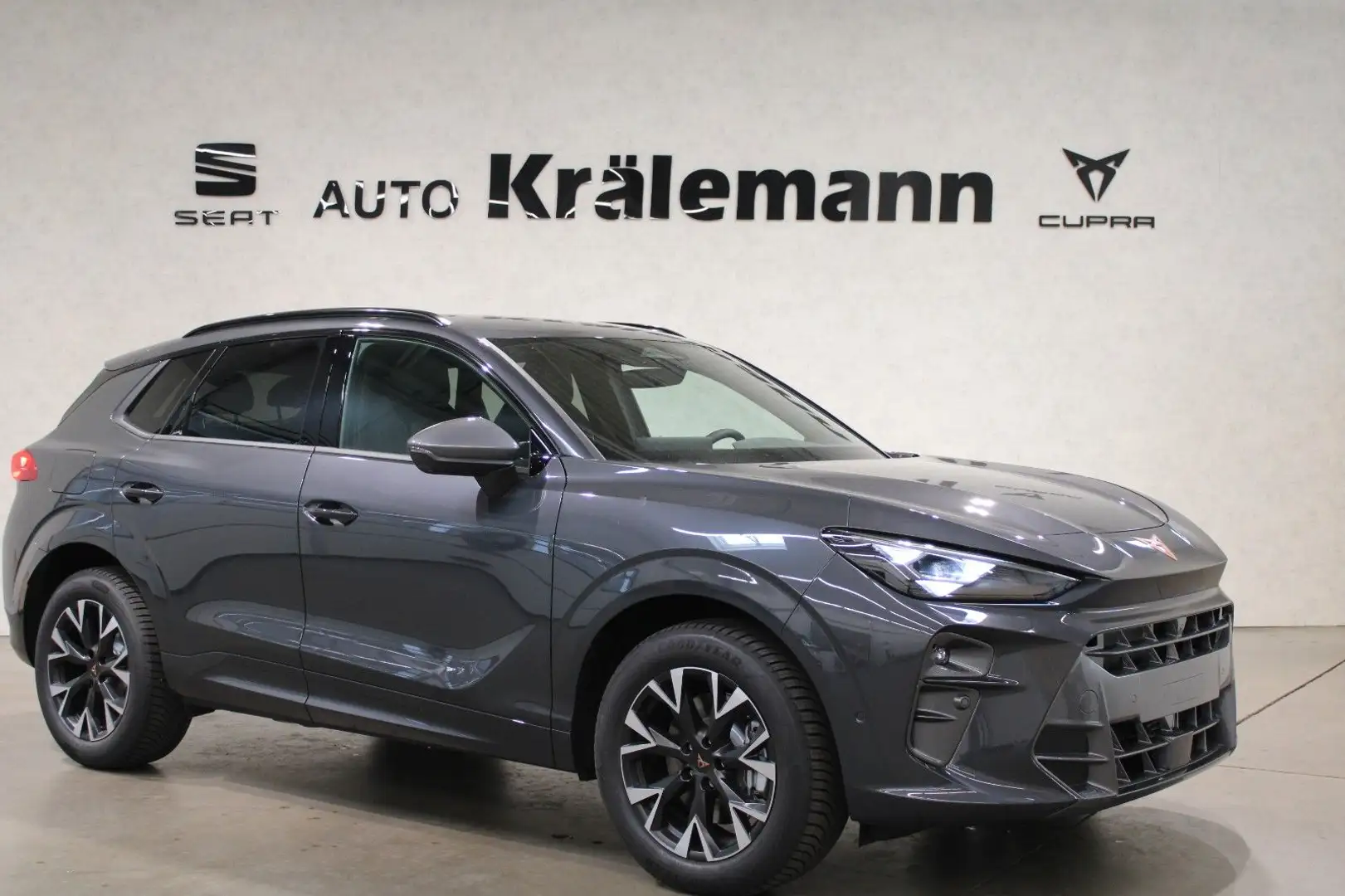 CUPRA Terramar 2.0 TSI DSG 4Drive*Navi*LED*AHK* Grau - 1