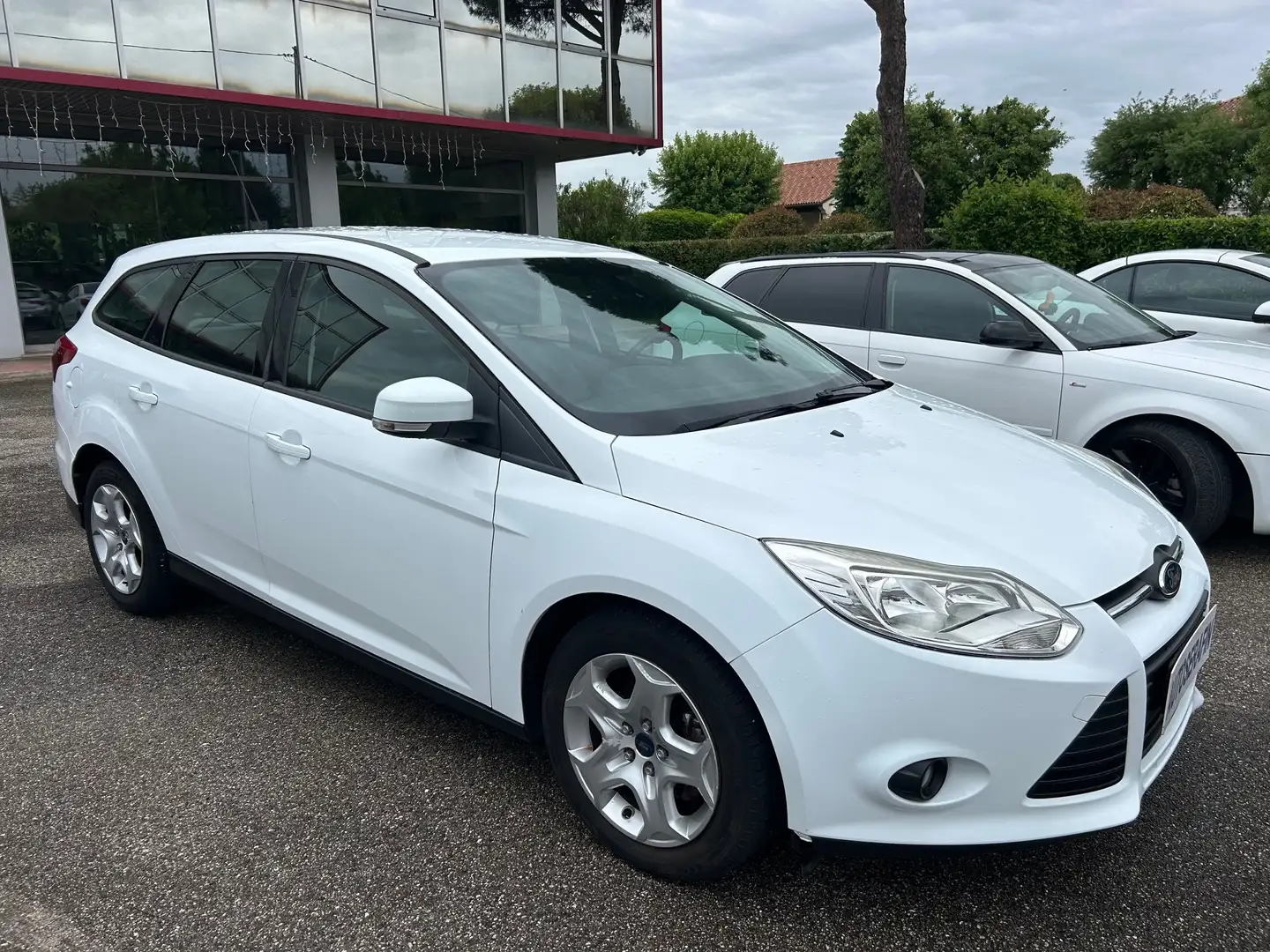 Ford Focus Focus SW 1.6 tdci Plus Business 115cv Weiß - 1