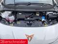 CUPRA Born 77 kWh WÄPU CAM BELOW ZERO GANZJAHR Weiß - thumbnail 21