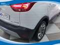 Opel Crossland X 1.2 EcoTec 81cv Innovation GPL EU6 Bianco - thumbnail 13