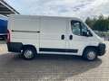 Fiat Ducato Kasten 28 115, TÜV 05/26, Allwetterreifen - thumbnail 5