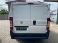 Fiat Ducato Kasten 28 115, TÜV 05/26, Allwetterreifen - thumbnail 6