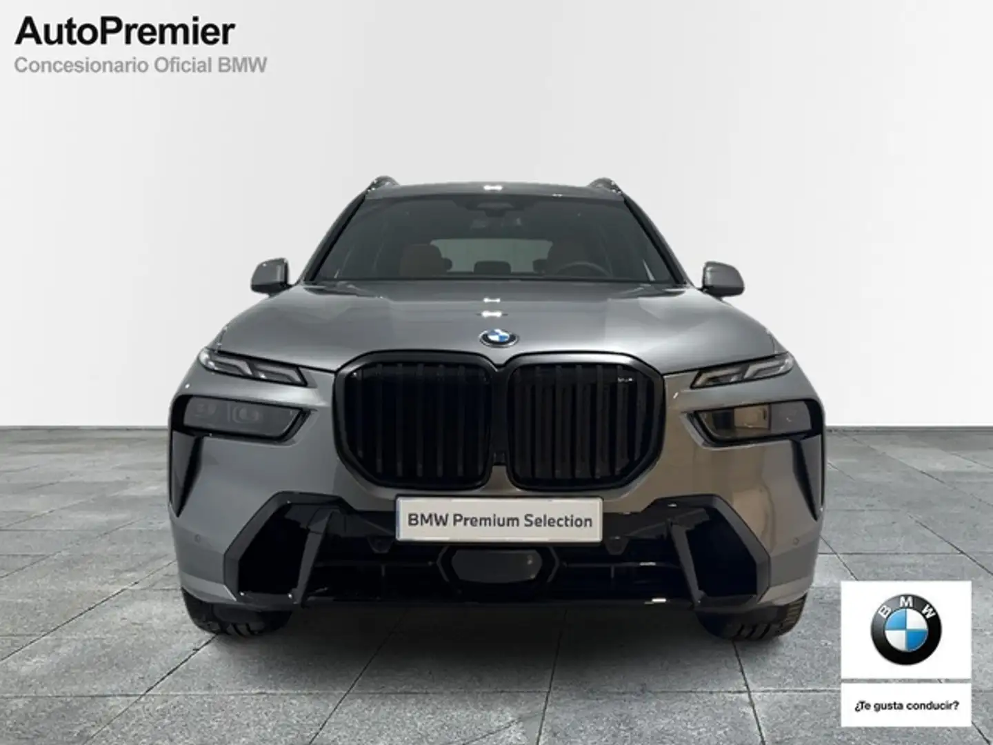 BMW X7 xDrive 40dA Gris - 2