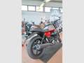 Moto Guzzi V 7 Stone Corsa - thumbnail 3
