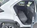 Toyota Yaris Cross Hybrid 130 1.5 VVT-i Teamplayer Blanco - thumbnail 15