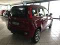 Fiat New Panda 5p 1.4 natural power Easy 70cv Rot - thumbnail 6