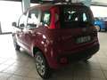 Fiat New Panda 5p 1.4 natural power Easy 70cv Red - thumbnail 5