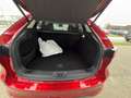 Mazda CX-60 2.5L e-SKYACTIV PHEV AWD HOMURA Aut. Rot - thumbnail 14