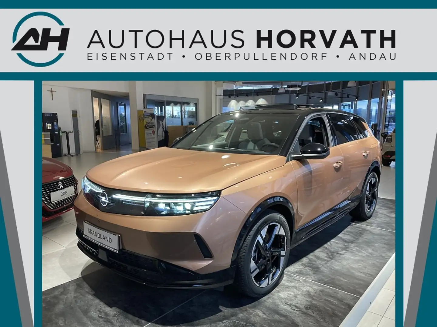 Opel Grandland Electric 73kWh GS - 1