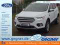 Ford Kuga 150PS 2x4 Business Edition Navi Winter Weiß - thumbnail 1
