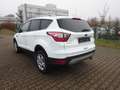 Ford Kuga 150PS 2x4 Business Edition Navi Winter Weiß - thumbnail 4