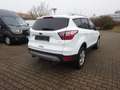 Ford Kuga 150PS 2x4 Business Edition Navi Winter Weiß - thumbnail 5