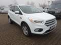 Ford Kuga 150PS 2x4 Business Edition Navi Winter Weiß - thumbnail 7