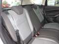 Ford Kuga 150PS 2x4 Business Edition Navi Winter Weiß - thumbnail 9