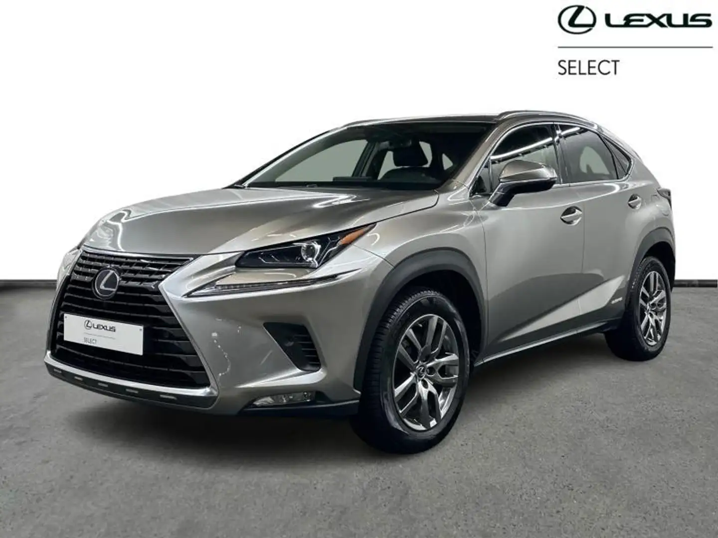 Lexus NX 300h Executive Line AWD Сірий - 1