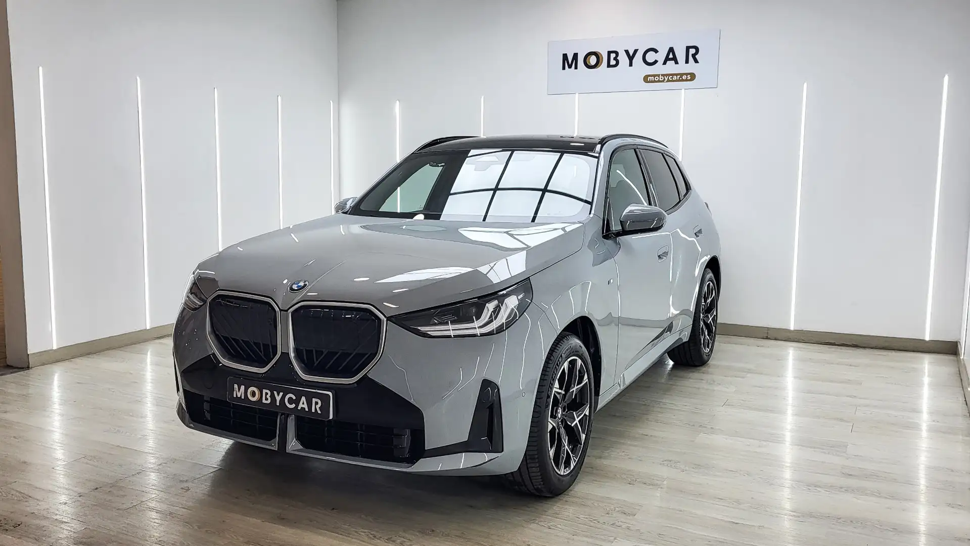 BMW X3 20d xDrive Gris - 1