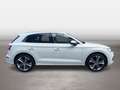 Audi SQ5 TDI quattro Weiß - thumbnail 6