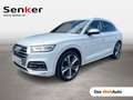 Audi SQ5 TDI quattro Weiß - thumbnail 1