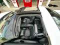 Pontiac Trans Am Firebird Trans-Am 5,7l V8 Aut. Targa Weiß - thumbnail 15