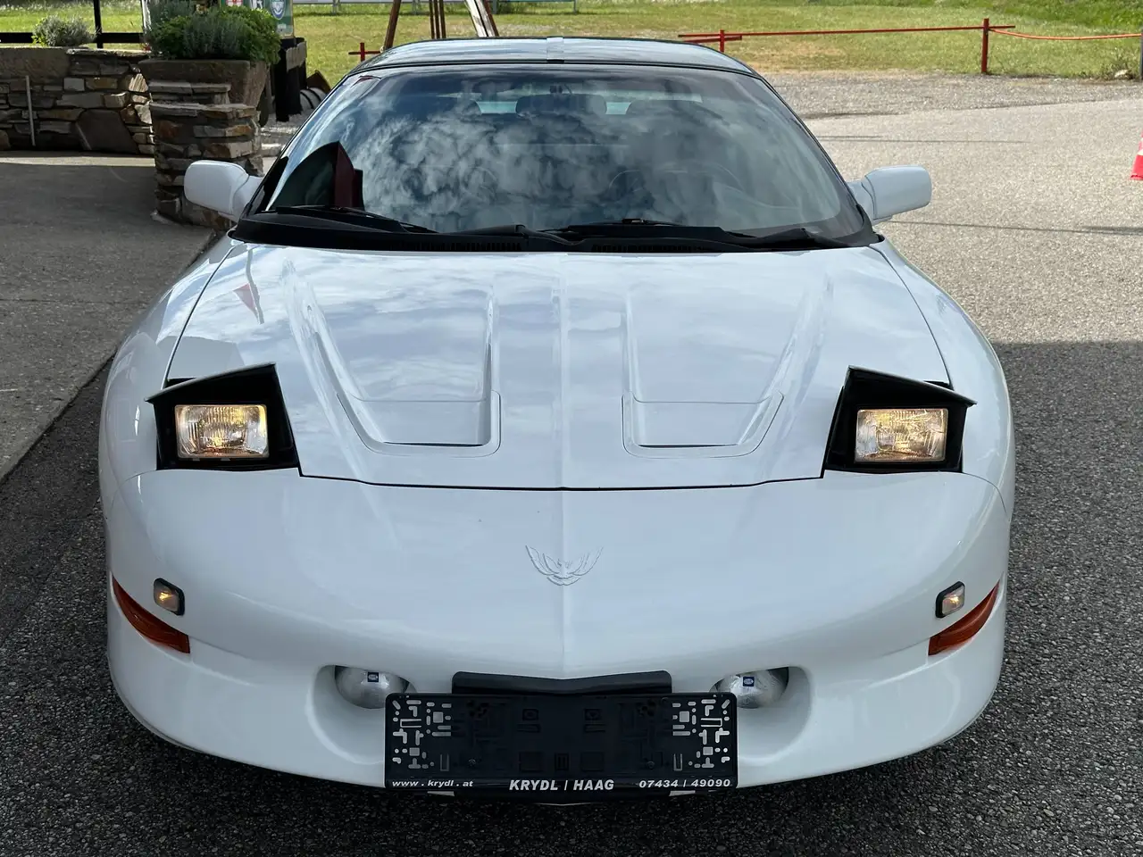 Pontiac Trans Am Firebird Trans-Am 5,7l V8 Aut. Targa, foto 12