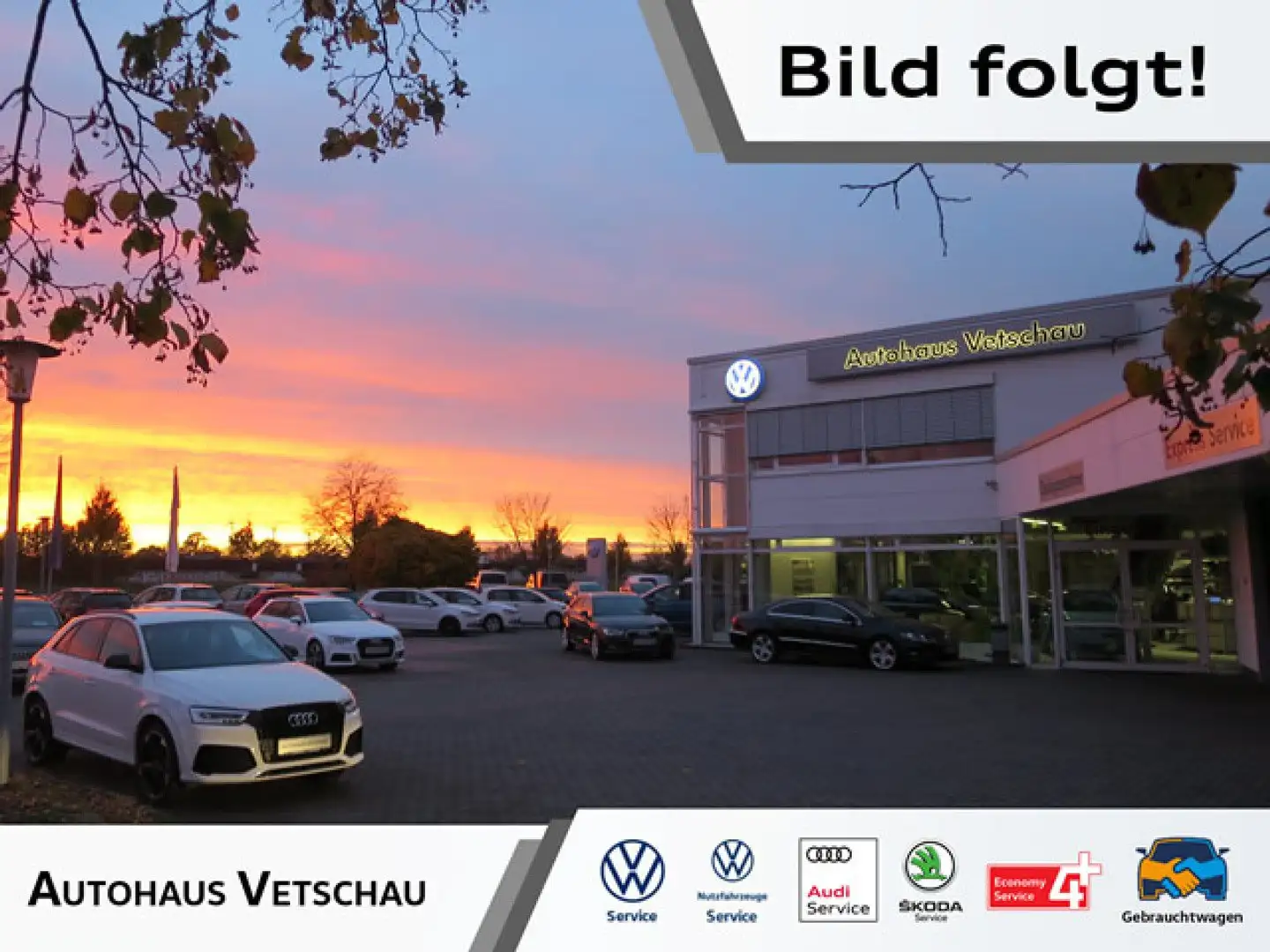 Volkswagen Tiguan Elegance 2.0 TDI DSG Matrix-LED/RFK/Head-Up Blauw - 1