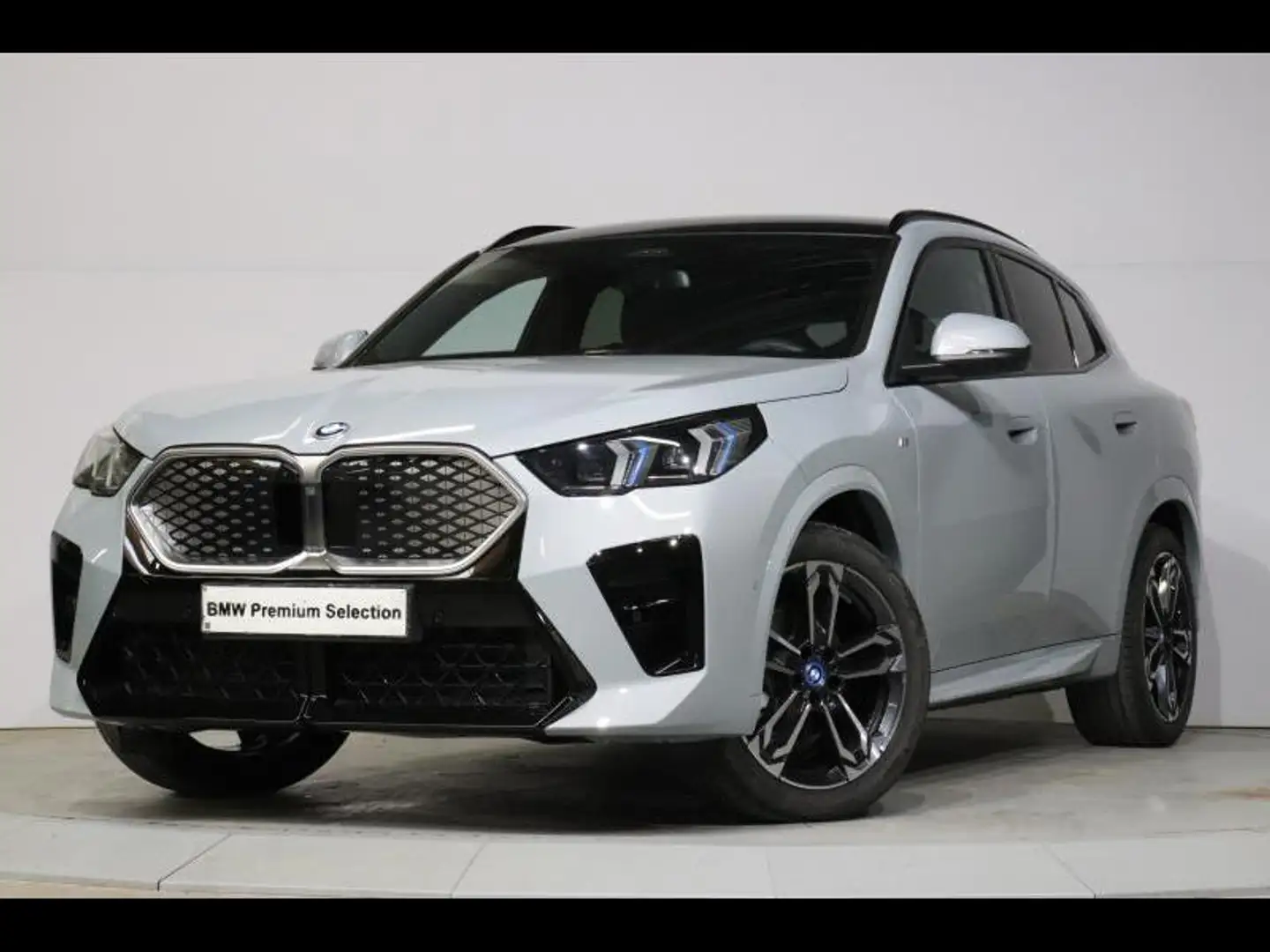 BMW iX2 eDrive20 Kit M Sport Grijs - 2