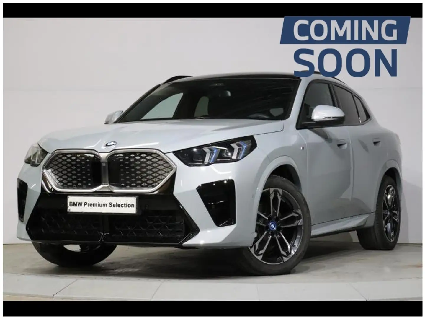 BMW iX2 eDrive20 Kit M Sport Grijs - 1