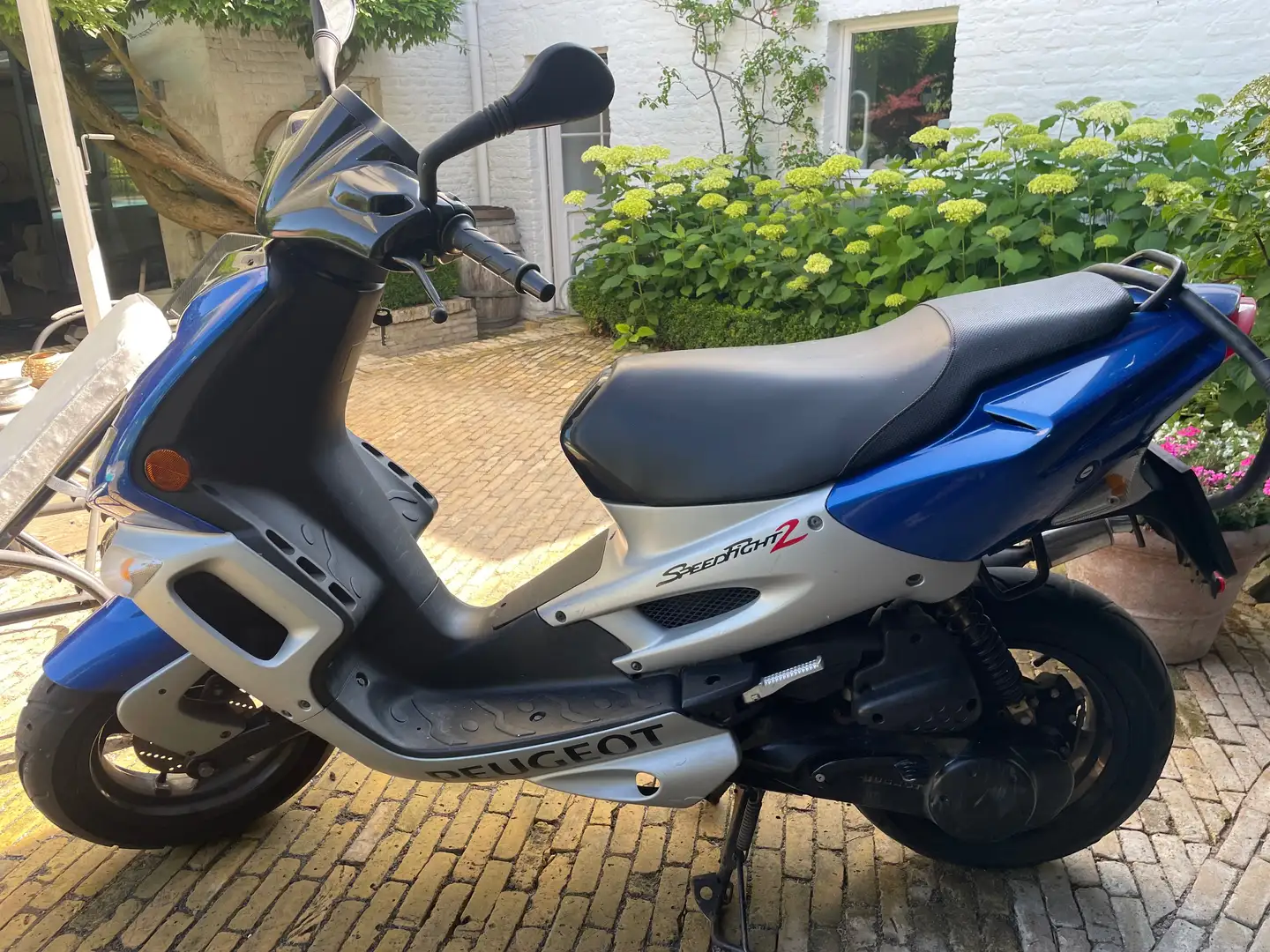Peugeot Speedfight Bleu - 1