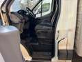 Ford Transit 2.0Dci 170cv. Cassone Lega Mobili Euro6B-2018 Beyaz - thumbnail 6