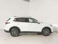 Volkswagen Tiguan 2.0 TDI Elegance DSG NAV/Matrix/AHK Weiß - thumbnail 8