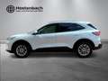 Ford Kuga Titanium X 1.5 EcoBlue AHK/Navi/B&O/LED/ACC/El. He Wit - thumbnail 4