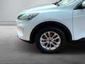 Ford Kuga Titanium X 1.5 EcoBlue AHK/Navi/B&O/LED/ACC/El. He Wit - thumbnail 3