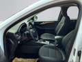 Ford Kuga Titanium X 1.5 EcoBlue AHK/Navi/B&O/LED/ACC/El. He Wit - thumbnail 8
