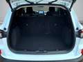 Ford Kuga Titanium X 1.5 EcoBlue AHK/Navi/B&O/LED/ACC/El. He Wit - thumbnail 7