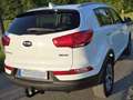 Kia Sportage Sportage 1.6 GDI 2WD ISG Vision Weiß - thumbnail 6