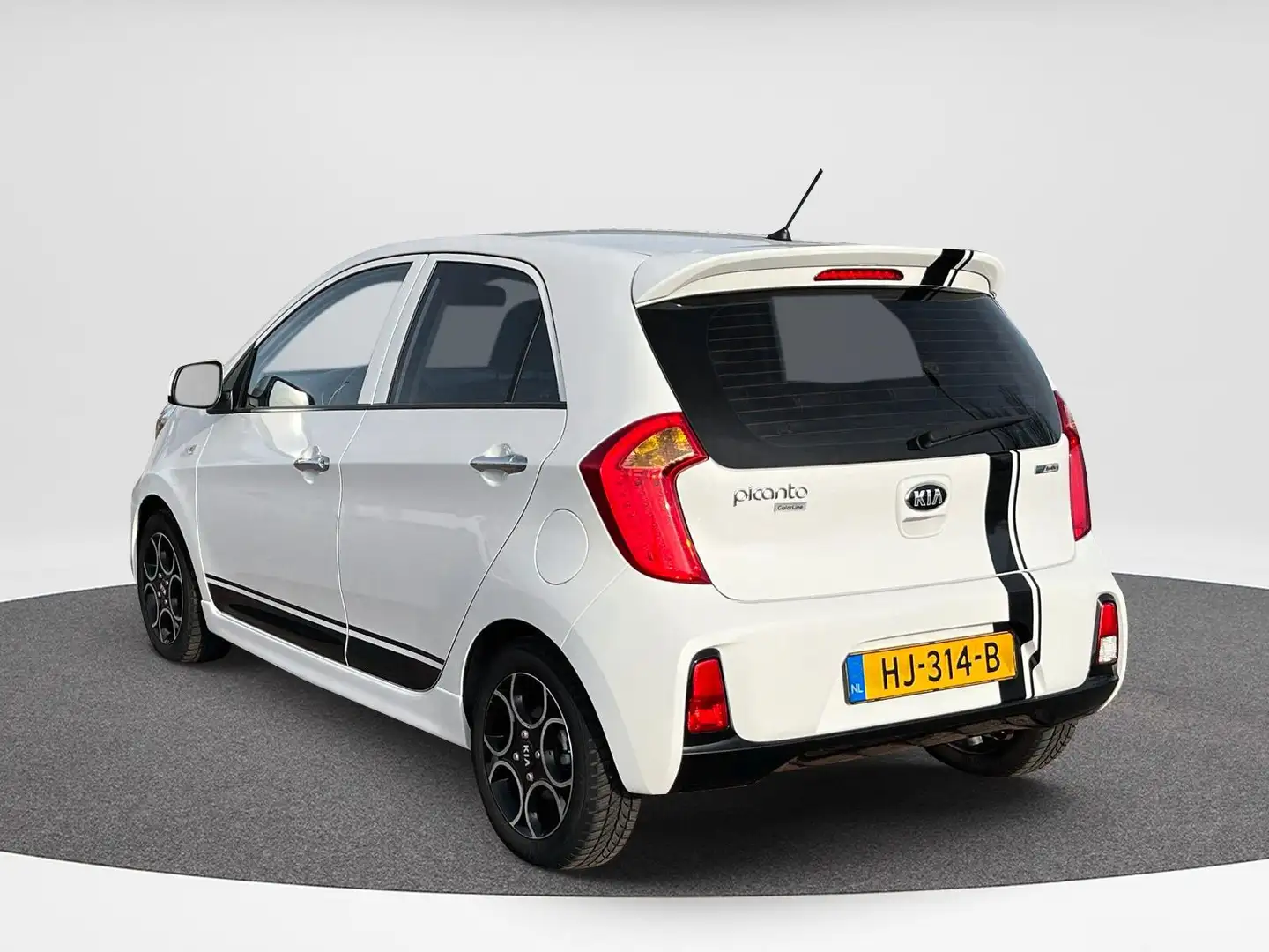 Kia Picanto 1.2 CVVT DynamicLine | Clima | Cruise | RCD | 38.5 Wit - 2
