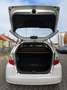 Honda Jazz 1.2 Trend*1.Hd*5-Trg*Klima*TüvNeu*Garantie* Білий - thumbnail 9