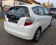 Honda Jazz 1.2 Trend*1.Hd*5-Trg*Klima*TüvNeu*Garantie* Білий - thumbnail 5