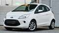 Ford Ka/Ka+ Champions Edition Klima MFL EFH Weiß - thumbnail 5