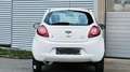 Ford Ka/Ka+ Champions Edition Klima MFL EFH Weiß - thumbnail 11