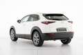 Mazda CX-30 2.5l e-Skyactiv-G M Hybrid 2WD Centre Line Bianco - thumbnail 4