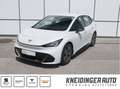 CUPRA Born 58kWh, Totwinkel-Assistent, ACC, Standklimatisi... Weiß - thumbnail 1