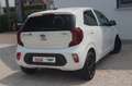 Kia Picanto Dream Team~Kamera~Navigation~SHZ~Lenkhei Weiß - thumbnail 9