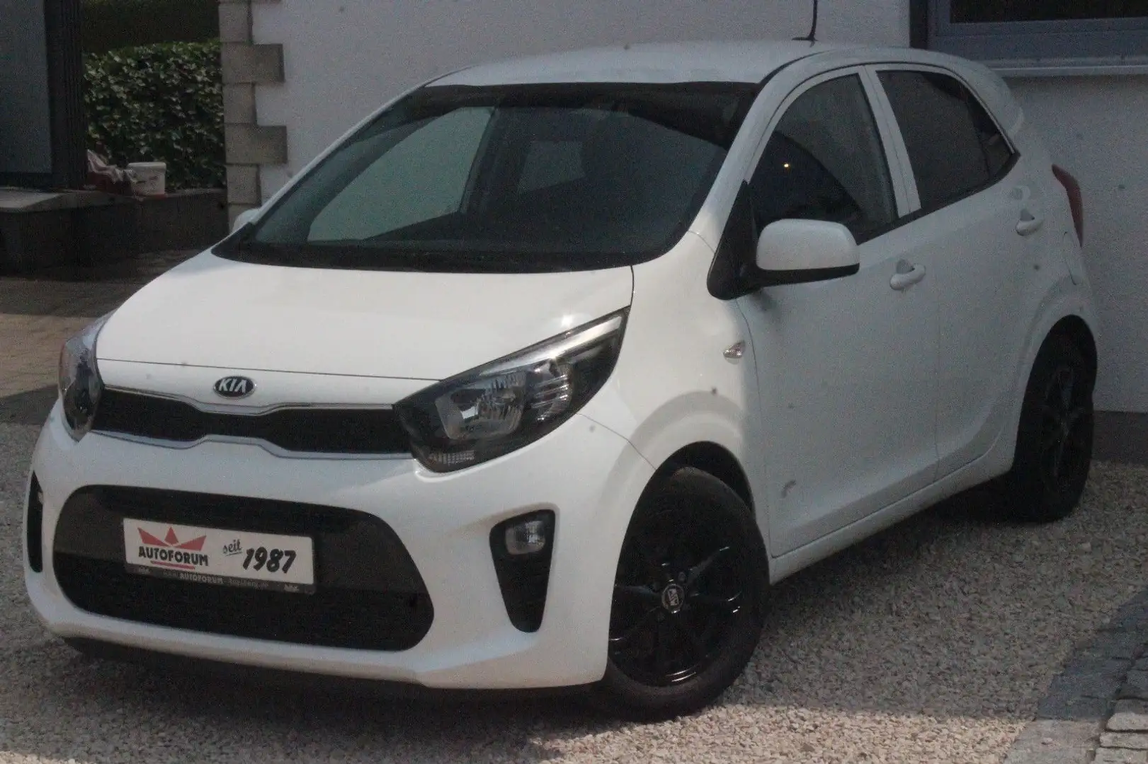 Kia Picanto Dream Team~Kamera~Navigation~SHZ~Lenkhei Weiß - 1