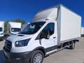 Ford Transit FT 350 L3 Chasis Trend 130 Blanco - thumbnail 3