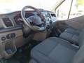 Ford Transit FT 350 L3 Chasis Trend 130 Blanco - thumbnail 14